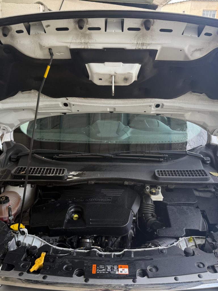 limpieza integral ford kuga vera motors